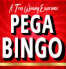 Pega Bingo