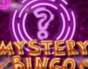 Mystery Bingo