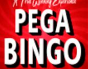 Pega Bingo